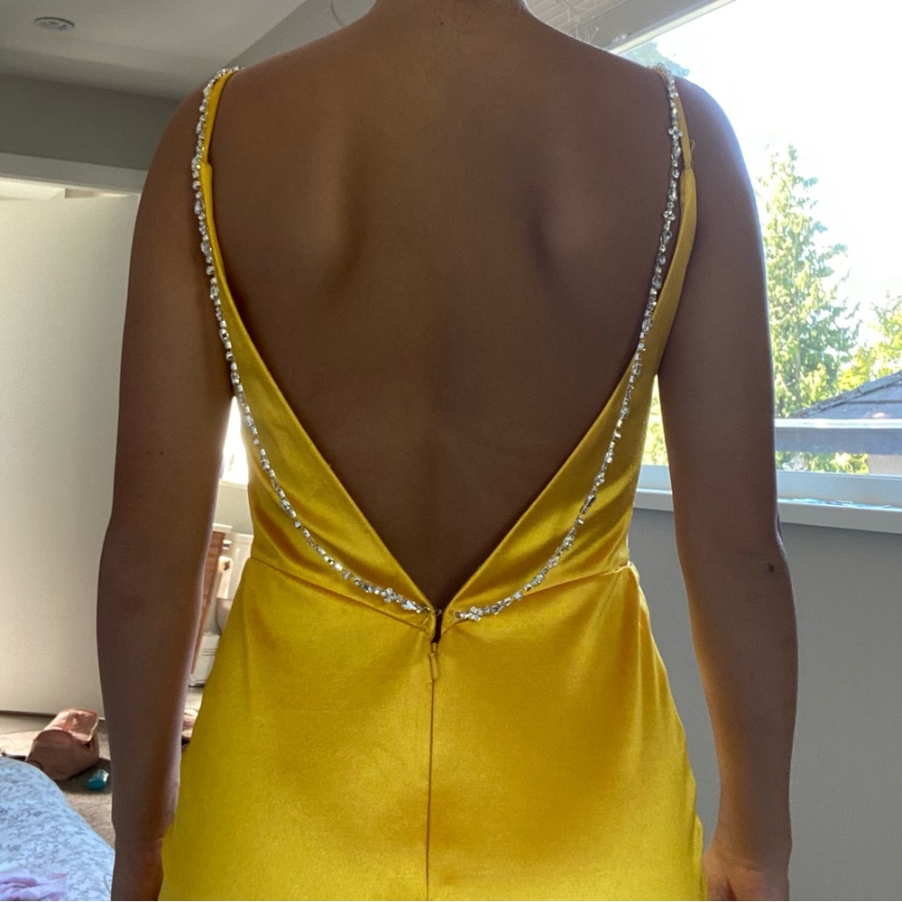 Prom Dress - Picture 5 of 5